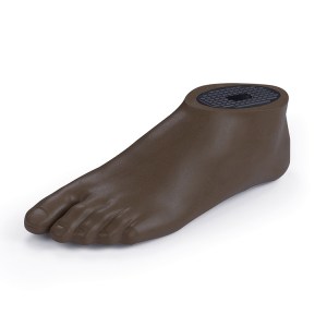Rehabimpulse-prosthetic-foot-sach-left-adult-terra3